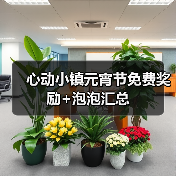 心动小镇元宵节免费奖励+泡泡汇总(图4) 心动小镇元宵节免费奖励+泡泡汇总(图4)