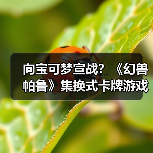 向宝可梦宣战？《幻兽帕鲁》集换式卡牌游戏即将推出(图4)
