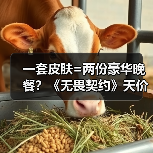 一套皮肤=两份豪华晚餐?《无畏契约》天价定价引争议(图4) 一套皮肤=两份豪华晚餐?《无畏契约》天价定价引争议(图4)