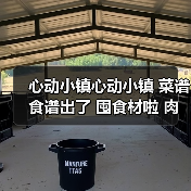 心动小镇心动小镇 菜谱食谱出了 囤食材啦 肉有救啦(图3) 心动小镇心动小镇 菜谱食谱出了 囤食材啦 肉有救啦(图3)