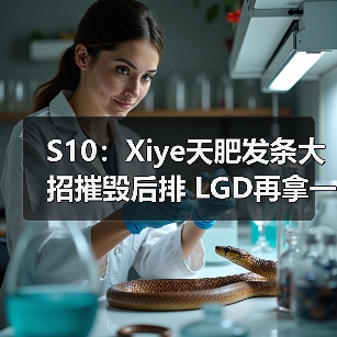 S10:Xiye天肥发条大招摧毁后排 LGD再拿一分!(图4) S10:Xiye天肥发条大招摧毁后排 LGD再拿一分!(图4)