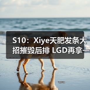 S10:Xiye天肥发条大招摧毁后排 LGD再拿一分!(图2) S10:Xiye天肥发条大招摧毁后排 LGD再拿一分!(图2)