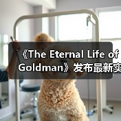 《The Eternal Life of Goldman》发布最新实机预告片(图4) 《The Eternal Life of Goldman》发布最新实机预告片(图4)
