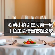 心动小镇引星河第一周丨鱼虫食谱园艺图鉴攻
