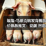 埃隆·马斯克转发育碧股价暴跌推文:觉醒 然后破产(图3) 埃隆·马斯克转发育碧股价暴跌推文:觉醒 然后破产(图3)