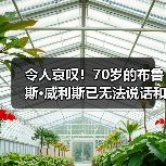 令人哀叹!70岁的布鲁斯·威利斯已无法说话和走路(图4) 令人哀叹!70岁的布鲁斯·威利斯已无法说话和走路(图4)