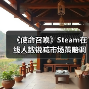 《使命召唤》Steam在线人数锐减市场策略调整(图1) 《使命召唤》Steam在线人数锐减市场策略调整(图1)