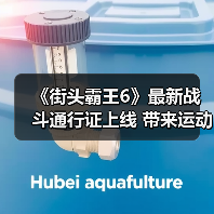《街头霸王6》最新战斗通行证上线 带来运动主题服饰道具(图4)