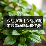 心动小镇【心动小镇】家园岛屿玩法和任务(图3)