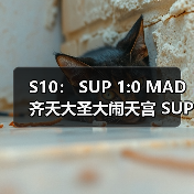 S10： SUP 1:0 MAD 齐天大圣大闹天宫 SUP势不可挡！(图2)