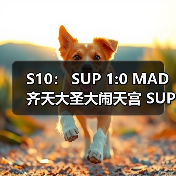 S10： SUP 1:0 MAD 齐天大