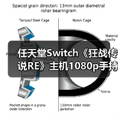 任天堂Switch《狂战传说RE》主机1080p手持720p，Switch2优化有期待？(图1)