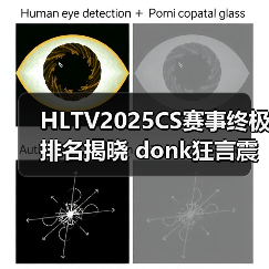 HLTV2025CS赛事终极排名揭晓 donk狂言震惊全场(图3)