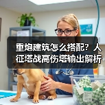 重炮建筑怎么搭配?人征塔战高伤塔输出解析(图3) 重炮建筑怎么搭配?人征塔战高伤塔输出解析(图3)