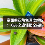 塞西莉亚角色深度解析:方舟之旅情报全揭秘(图1) 塞西莉亚角色深度解析:方舟之旅情报全揭秘(图1)