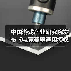 中国游戏产业研究院发布《电竞赛事通用授权规范》！(图4)