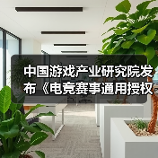 中国游戏产业研究院发布《电竞赛事通用授权规范》！(图2)