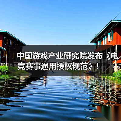 中国游戏产业研究院发布《电竞赛事通用授权规范》！(图3)