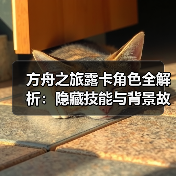 方舟之旅露卡角色全解析：隐藏技能与背景故事(图4)