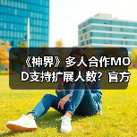 《神界》多人合作MOD支持扩展人数？官方