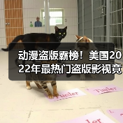 动漫盗版霸榜！美国2022年最热门盗版影视竟是这些？(图2)