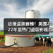 动漫盗版霸榜！美国2022年最热门盗版影视竟是这些？(图4)