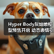Hyper Body灰姑娘模型预售开启 动态表情引期待(图3)