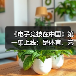 《电子竞技在中国》第一集上线：是体育、艺术、文化(图4)