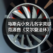 马斯克小女儿名字灵感竟源自《艾尔登法环》？(图2)