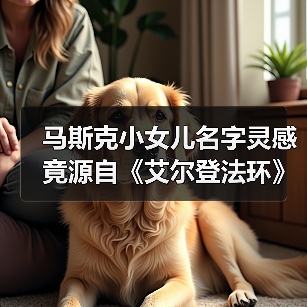 马斯克小女儿名字灵感竟源自《艾尔登法环》？(图4)