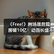 《Free!》剧场版后篇票房破10亿!动画长盛不衰?(图4) 《Free!》剧场版后篇票房破10亿!动画长盛不衰?(图4)