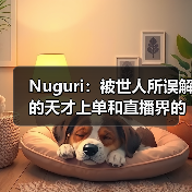 Nuguri:被世人所误解的天才上单和直播界的鬼才(图2) Nuguri:被世人所误解的天才上单和直播界的鬼才(图2)