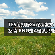 TES前打野Xx深夜发文怒喷 RNG走A怪就只能打LDL！(图4)