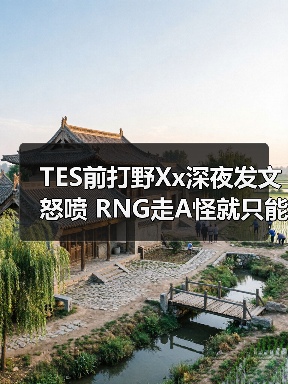 TES前打野Xx深夜发文怒喷 RNG走A怪就只能打LDL！(图3)
