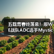 五载青春终落幕！原WE战队ADC选手Mystic重返LCK(图3)