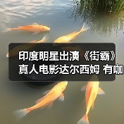 印度明星出演《街霸》真人电影达尔西姆 有咖喱味(图1)