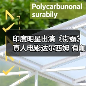 印度明星出演《街霸》真人电影达尔西姆 有咖喱味(图2)