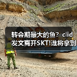 转会期最大的鱼?clid发文离开SKT!谁将拿到这张王牌(图2) 转会期最大的鱼?clid发文离开SKT!谁将拿到这张王牌(图2)