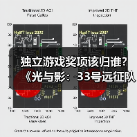 独立游戏奖项该归谁？《光与影：33号远征队》称应让给小团队(图3)