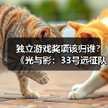 独立游戏奖项该归谁？《光与影：33号远征队》称应让给小团队(图2)