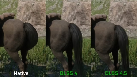 英伟达DLSS 4.5测试大表哥2 原生分辨率作为画质基准(图4)