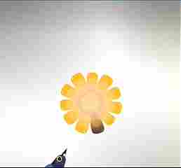 互联网新宠：鸽子舞王凭“雷霆舞姿”血洗全网(图2)