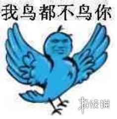 互联网新宠：鸽子舞王凭“雷霆舞姿”血洗全网(图11)