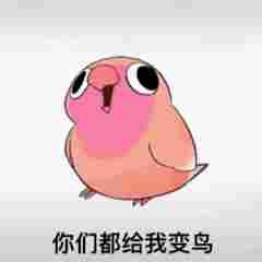 互联网新宠：鸽子舞王凭“雷霆舞姿”血洗全网(图16)