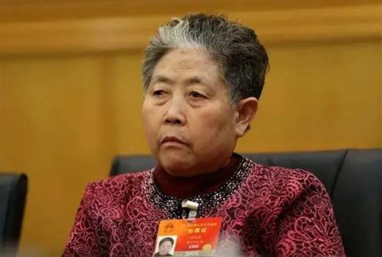 老干妈2024年营收逼近54亿元!重回巅峰 稳居行业第一(图3) 老干妈2024年营收逼近54亿元!重回巅峰 稳居行业第一(图3)