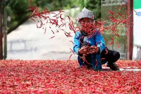 老干妈2024年营收逼近54亿元!重回巅峰 稳居行业第一(图4) 老干妈2024年营收逼近54亿元!重回巅峰 稳居行业第一(图4)