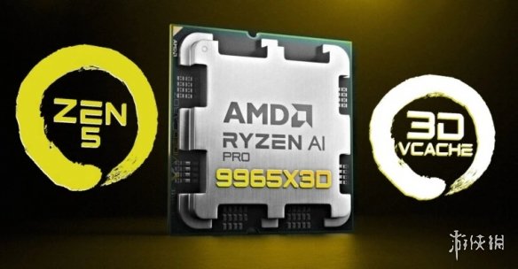 曝AMD或推新型16核专业处理器Ryzen 9 PRO 9965X3D(图2)