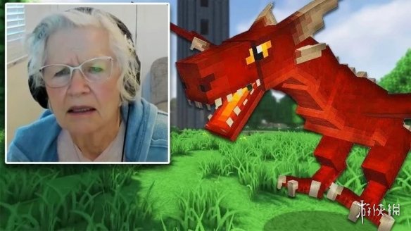 81岁奶奶直播《我的世界》赚钱为17岁孙子治疗癌症！ - Tanyitan情报局