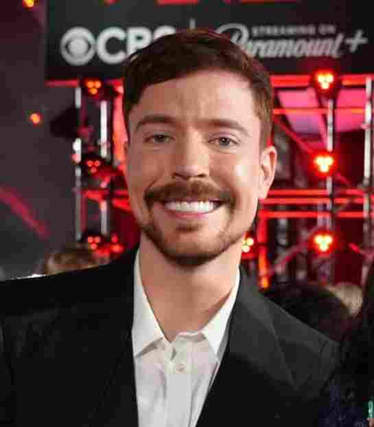 坐拥两亿粉丝却需借钱度日？野兽先生自曝银行账户为负 - Tanyitan情报局