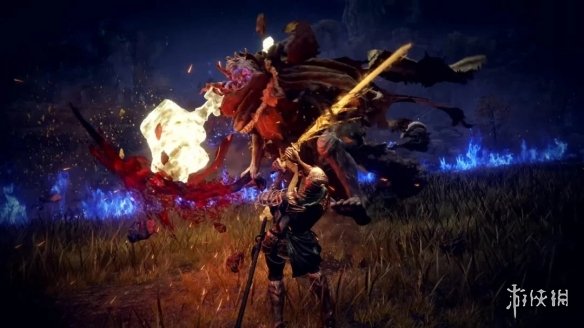 外网热议《艾尔登法环 黑夜君临》更新 执行者暴力忍杀(图2)